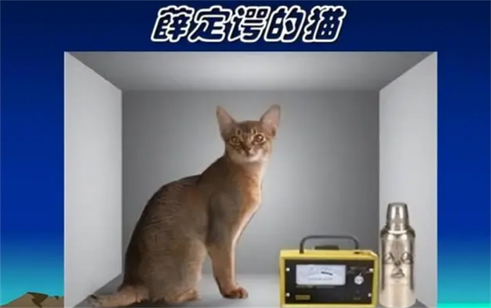 薛定谔的猫是啥意思（理想实验）