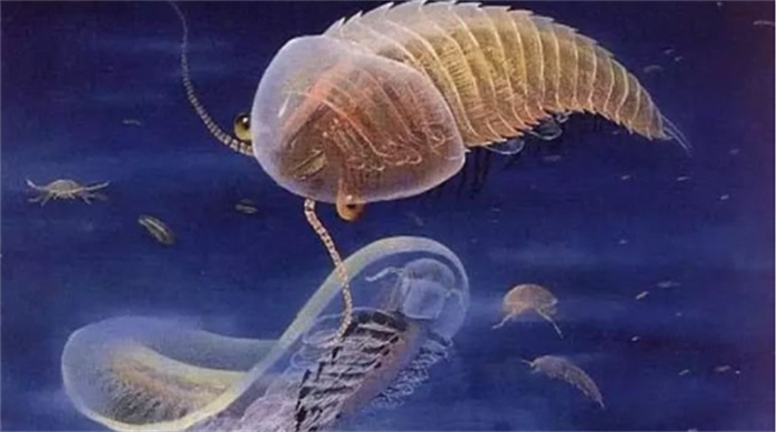 地球上及更远的早期生命是什么（可能是海洋生物）